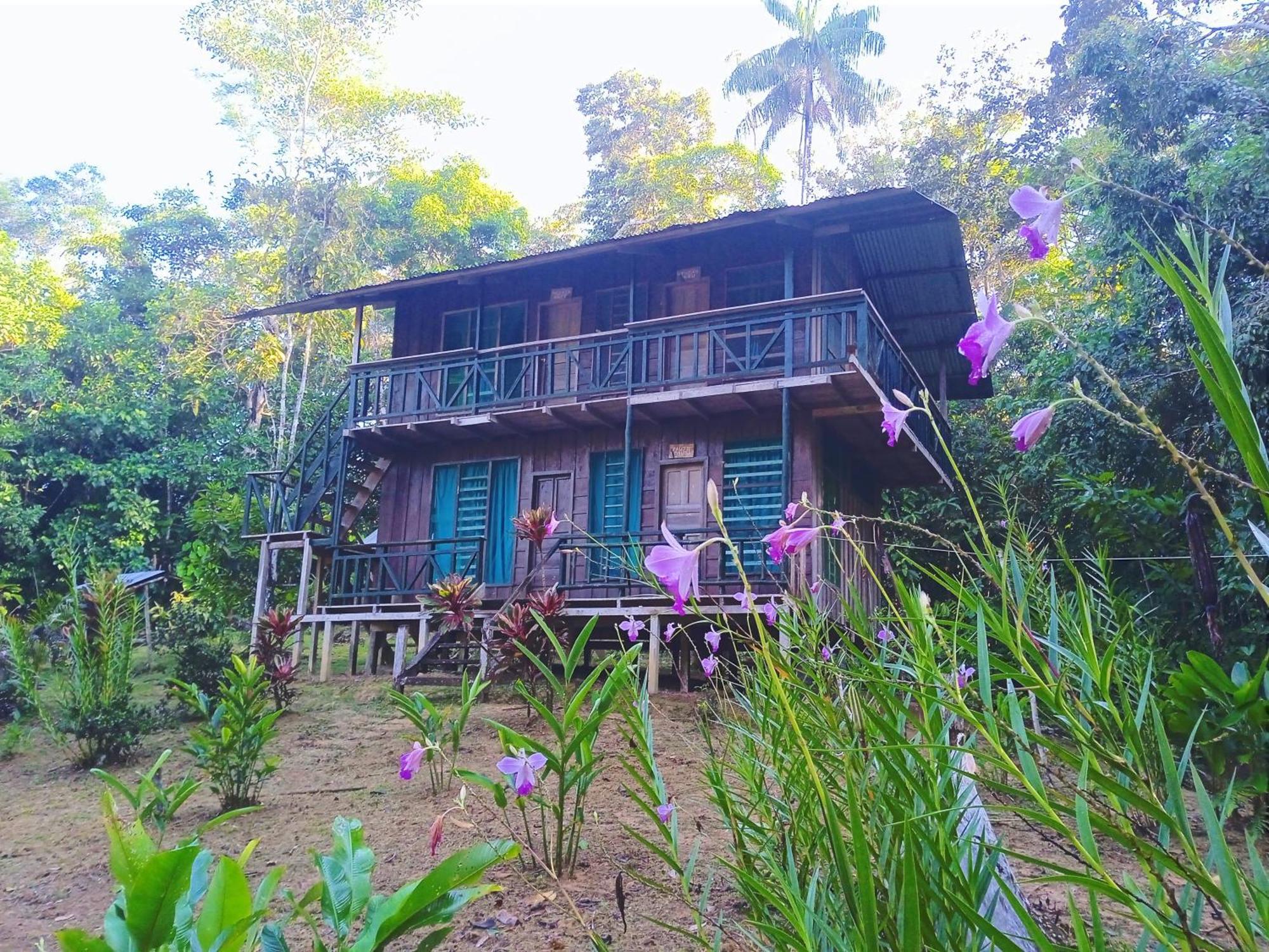 Cabanas Eco Logicas Mu'Ue Loreto Mocagua ภายนอก รูปภาพ