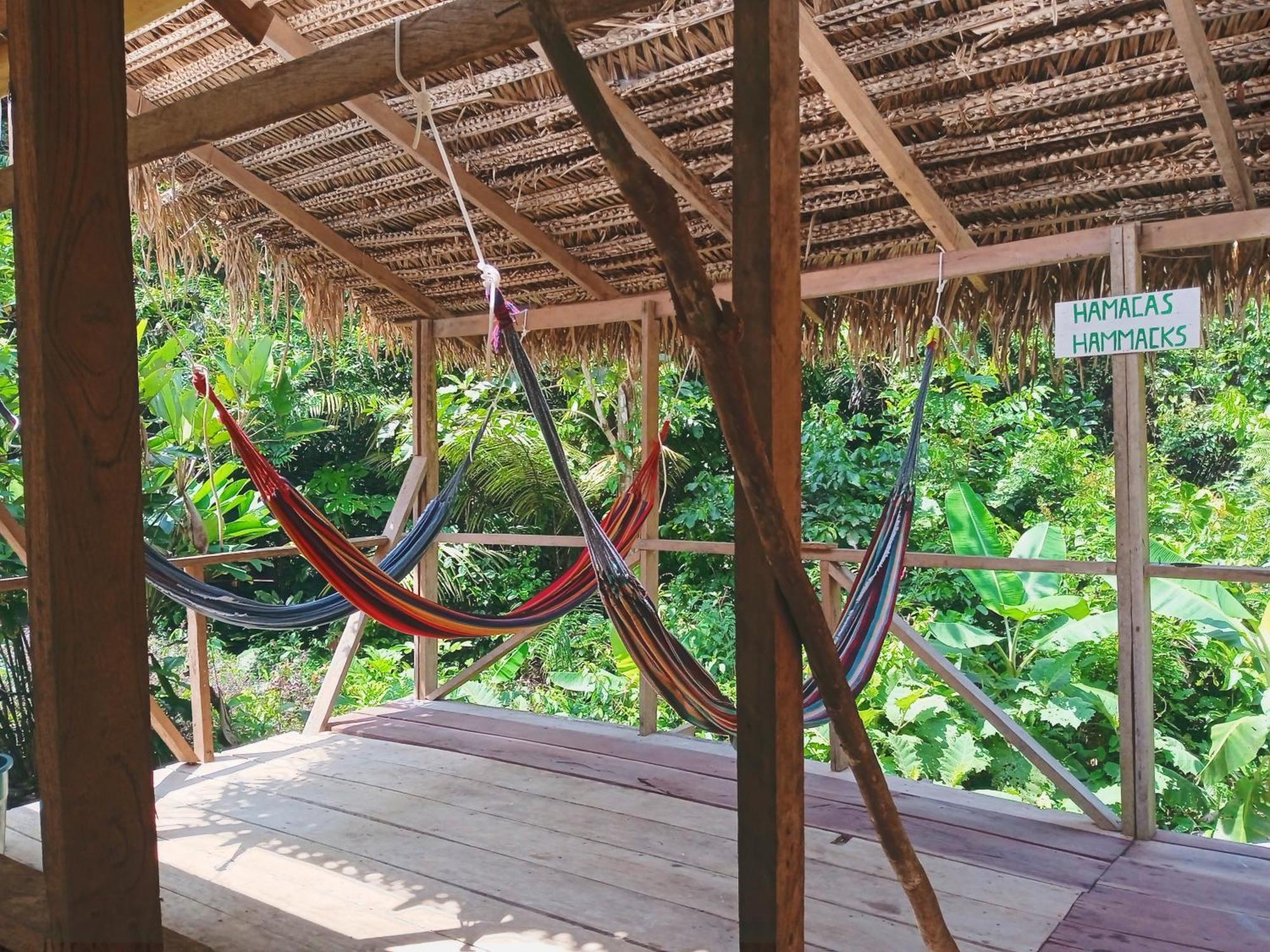 Cabanas Eco Logicas Mu'Ue Loreto Mocagua ภายนอก รูปภาพ