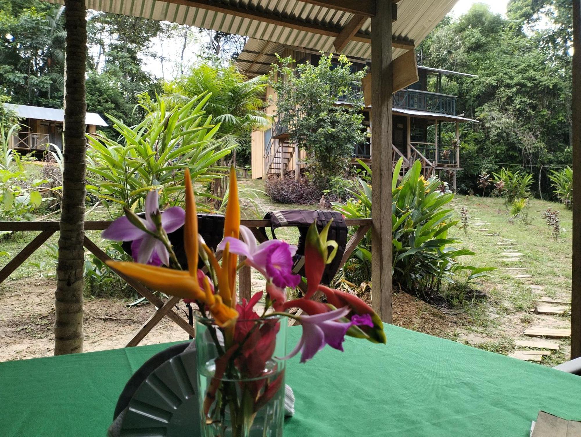Cabanas Eco Logicas Mu'Ue Loreto Mocagua ภายนอก รูปภาพ
