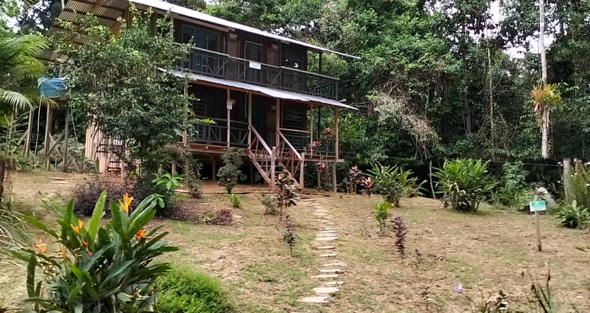 Cabanas Eco Logicas Mu'Ue Loreto Mocagua ภายนอก รูปภาพ