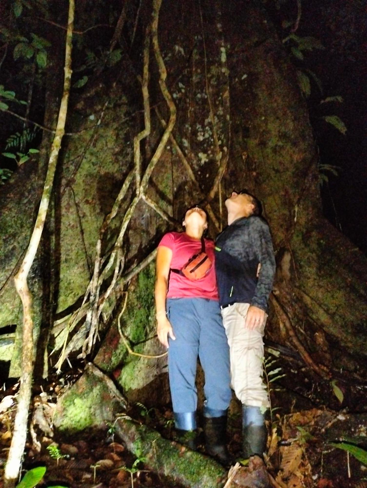 Cabanas Eco Logicas Mu'Ue Loreto Mocagua ภายนอก รูปภาพ