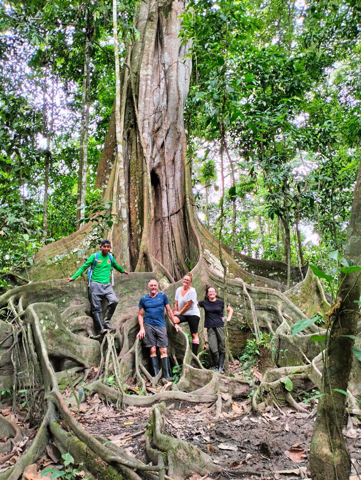 Cabanas Eco Logicas Mu'Ue Loreto Mocagua ภายนอก รูปภาพ