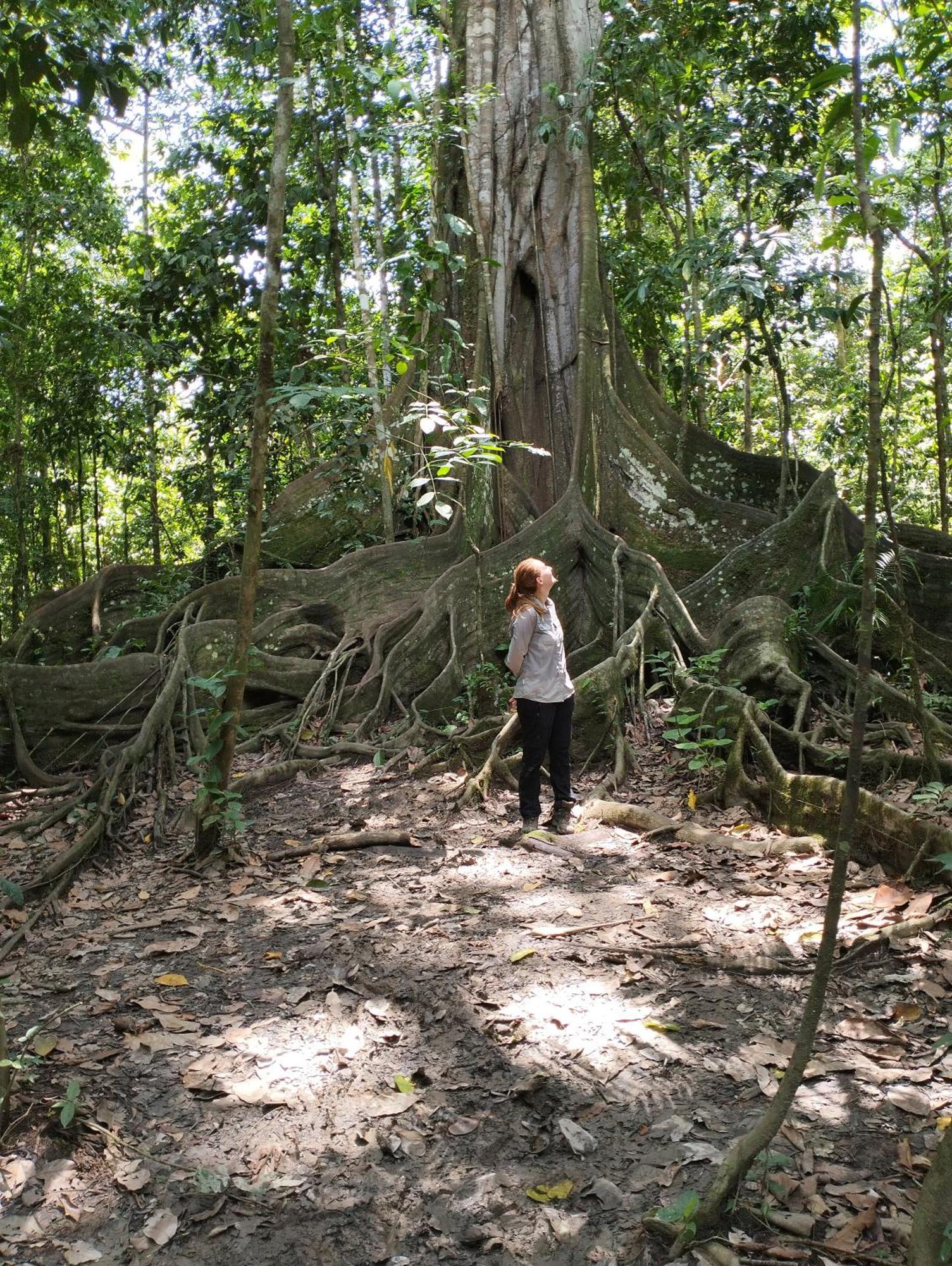 Cabanas Eco Logicas Mu'Ue Loreto Mocagua ภายนอก รูปภาพ
